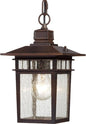 Nuvo 60-4955 Cove Neck 1-Light 12" Hanging Lantern, Clear Seeded Glass, Rustic Bronze Finish