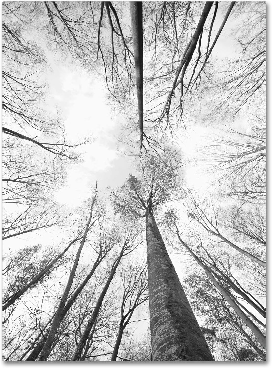 Art Recall The Days Artwork by Philippe Sainte-Laudy, 30 x 47-Inch