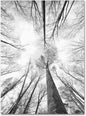 Art Recall The Days Artwork by Philippe Sainte-Laudy, 30 x 47-Inch