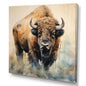 Buffalo Majesty - Animals Wall Art Prints 16x16
