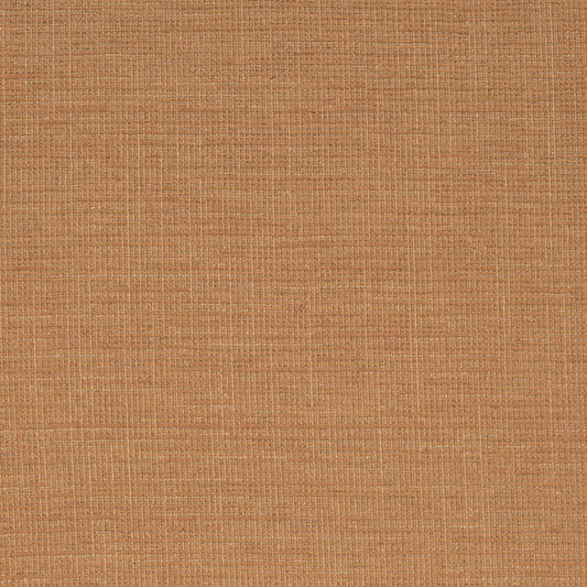 Crypton Colors II Nutmeg Fabric Roll 54" wide 3 yards D4172